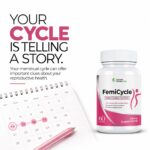 FemiCycle - Image 2