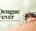 Dengue fever symptoms, mosquito transmission and prevention tips